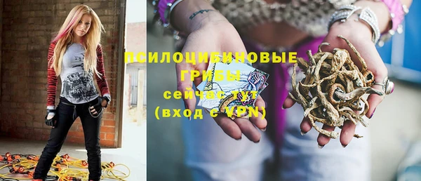 бутират Белокуриха
