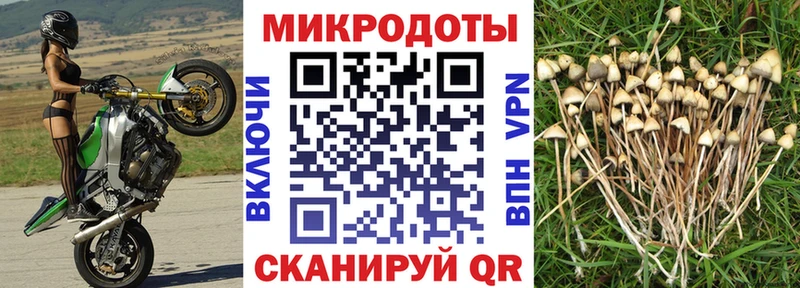 Псилоцибиновые грибы Psilocybine cubensis  Купить закладки  Сельцо 