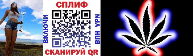 Купить где Сельцо Бошки Шишки сатива